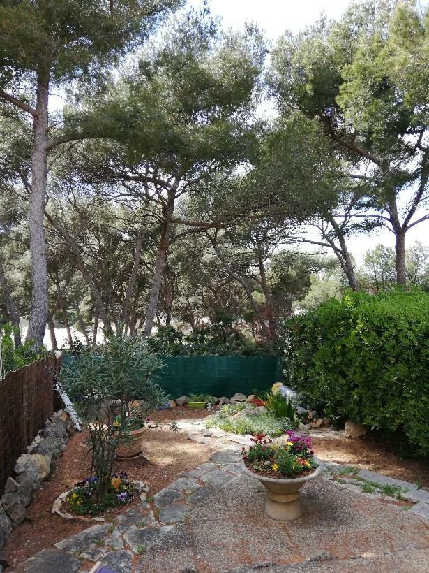 T2 Rez De Jardin 300M Plage De Beaucours Sanary Sur Mer Apartment Exterior photo